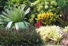 Newport Beachlandscape-gardener-24.jpg; ?>