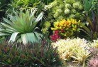 Newport Beachplanting-garden-and-landscape-design-24.jpg; ?>