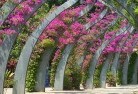 Newport Beachplanting-garden-and-landscape-design-56.jpg; ?>